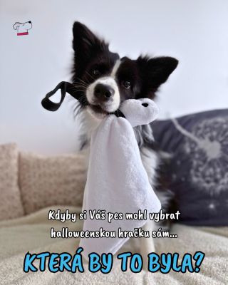 Sáhl by po netopýrovi, sově nebo raději po přízraku? 👻 Napište nám do komentáře, která halloweenská potvůrka by u vás doma...