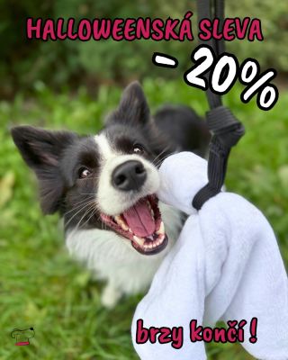🎃 Halloweenská sleva se pomalu loučí! Jen do 31. 10. můžete ulovit své oblíbené potvůrky se slevou 20 % 🧡 A pak už... písk...