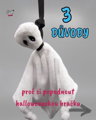 3 extra důvody proč byste si měli zakoupit hračku z naší halloweenske kolekce ✅🙂 Bude to Čarodějná sova, Tajemná...