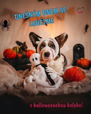 Tak kolika z vás jsme nastrašili? 😅😅 Ale my neodcházíme nebojte se, jen naše halloweenská kolekce končí. Ještě máte...