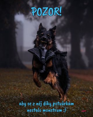 Monstrum bažící po pískání a tahání 😱🐕😅 #ceskehracky #vyrobenorucne #handmadecz #handmadeczech #vyrobenovcr