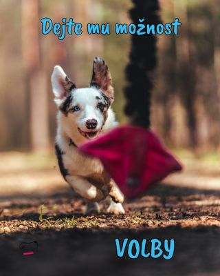 Někdo rád kožešinu, někdo plyš ( nebo odolný soft :) ) 🐕 Napište nám do komentáře ⬇️⬇️⬇️ Do které části hračky kousne jako...