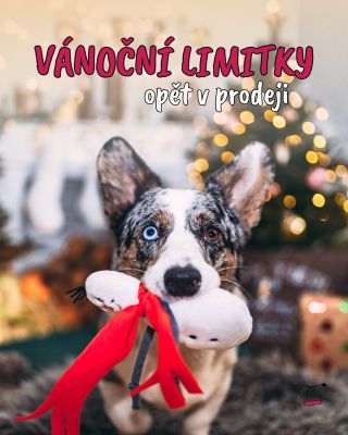 Připravte se na Vánoce s našimi limitkami 🎄🎁 Budou v nabídce jen do Vánoc a poté opět zmizí ❄️ Tak rychle, ať vám neutečou...