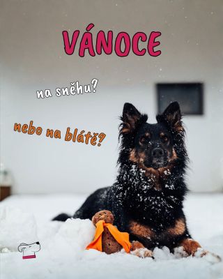 Tvořit originální hračky, to je to, co nás baví 🩷 Ať už Váš parťák uloví pískacího Blatuláka, nebo se fakt letos dočkáme...