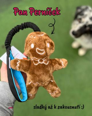 Letos je naší vánoční novinkou pan Perníček 🎄🎁 Už jste ho viděli? Nebo dokonce koupili? Jak se vám líbí jeho provedení? 😍...