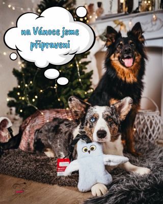 A co vy? jste tým: ➡🩷dárky pěkně promyšlené a nakoupené předem 😊 nebo ➡💙den před Vánocemi chytám paniku, že ještě nic...