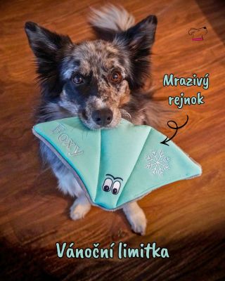 Limitka týdne: Mrazivý rejnok🦉❄️ Objevuje se jen jednou za rok — a jen u nás 😊😍 #bordercollielife #handmadeczech...