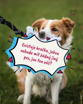 Budete v první stovce nejrychlejších? 🐾 ➡Akce platí pro hračky z Vánoční limitky 🎄❄️ #limitovanaedice #handmadeczech...