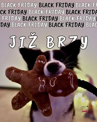 Pssst… něco se chystá! 👀 V dílně to teď píská víc než kdy jindy – Black Friday se blíží a s ním i sleva, kterou u nás...