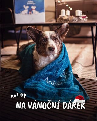 Hledáte dárek, který bude praktický, osobní a udělá radost na první pohled? 🎁✨ Naše psí ručníky se jménem jsou přesně ten...
