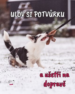 Uloveno! 🐾🎁 A teď řada na vás — od 5.12. do 15.12. vám pošleme pískací potvůrky s dopravou zdarma ( platí pro objednávky...