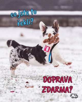 Ano, je to tak! 🎉 Vyhlašujeme DOPRAVU ZDARMA na všechny objednávky nad 700 Kč – ale pozor, akce platí jen od 5. 12. do 15....