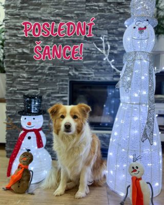 Poslední šance! 🎄🚚 Doprava zdarma při nákupu nad 700 kč končí už pozítří 15. 12. – takže pokud jste váhali, teď je ten...