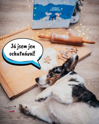 Nebojte, perníčky pekl jen ‘na zkoušku’. A prý byly výborné… všechny. A pokud máte doma taky takového malého ochutnávače,...