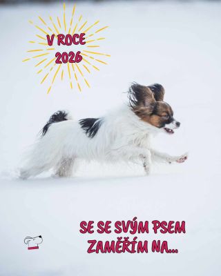 👉 napište do komentáře a pojďme se navzájem inspirovat. 🐾✨